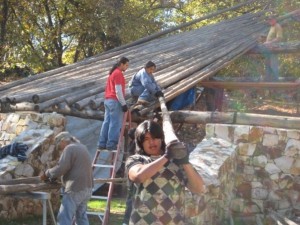 lifting logs